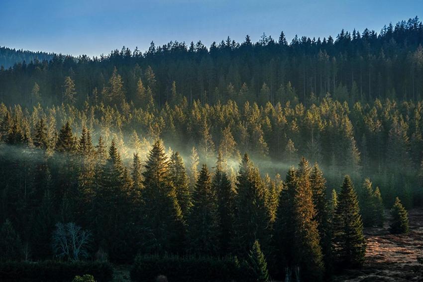 Horska Kvilda - Ubytovani U Chvalu Экстерьер фото