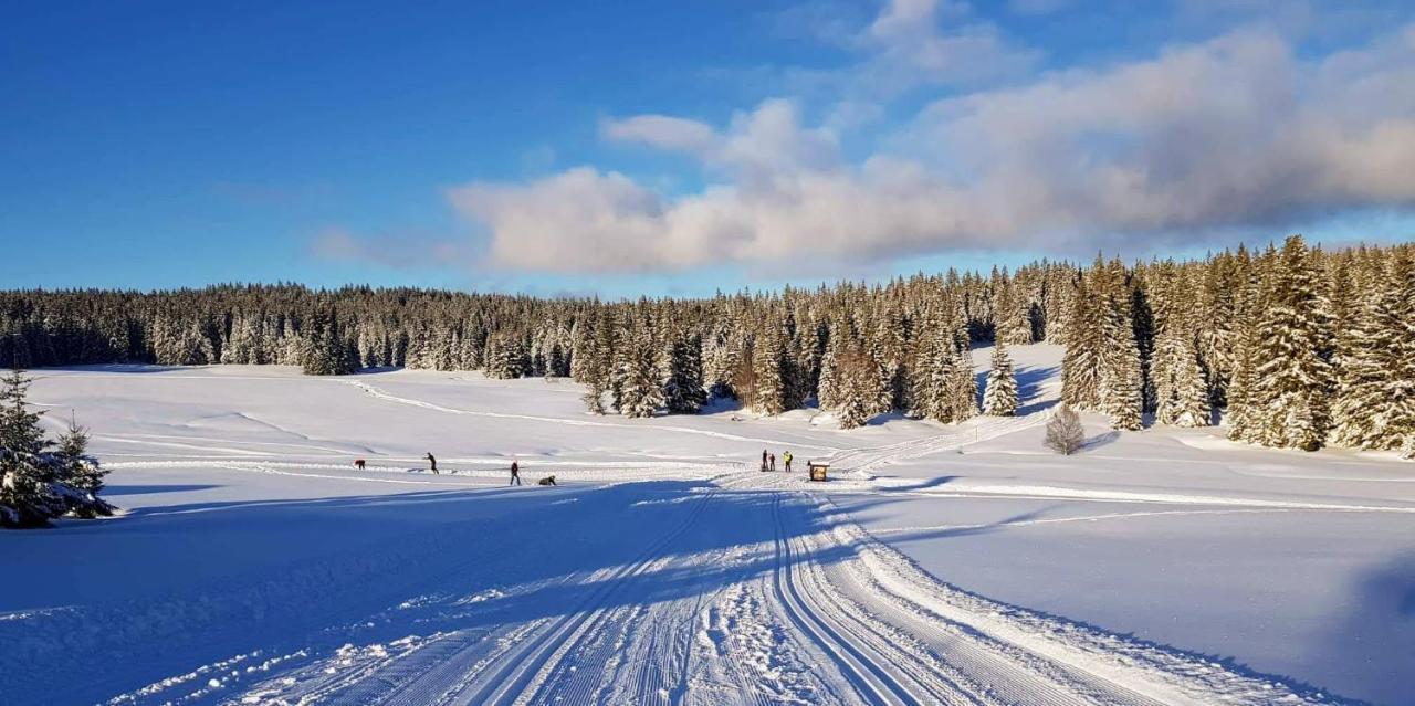 Horska Kvilda - Ubytovani U Chvalu Экстерьер фото