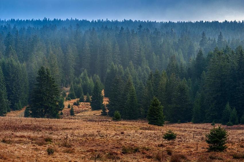 Horska Kvilda - Ubytovani U Chvalu Экстерьер фото