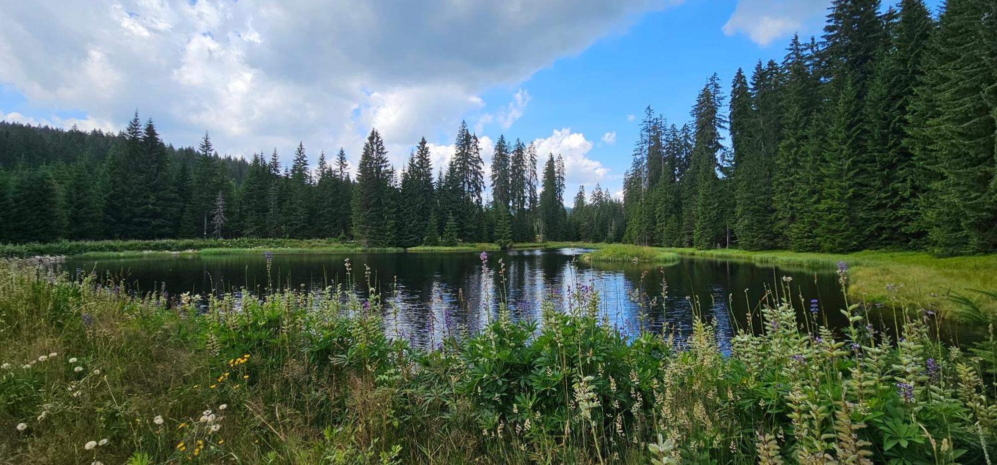 Horska Kvilda - Ubytovani U Chvalu Экстерьер фото