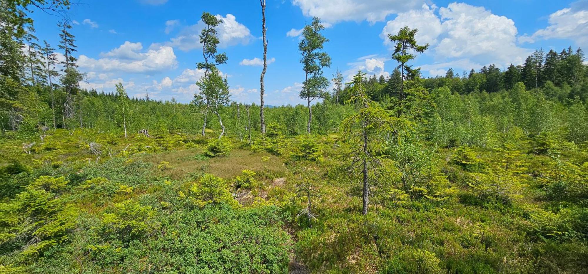 Horska Kvilda - Ubytovani U Chvalu Экстерьер фото